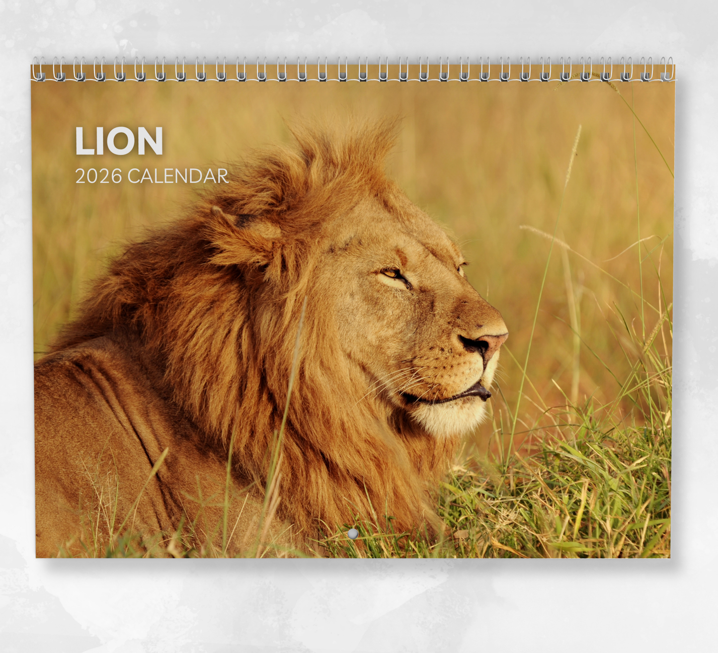 Lion Calendar 2026