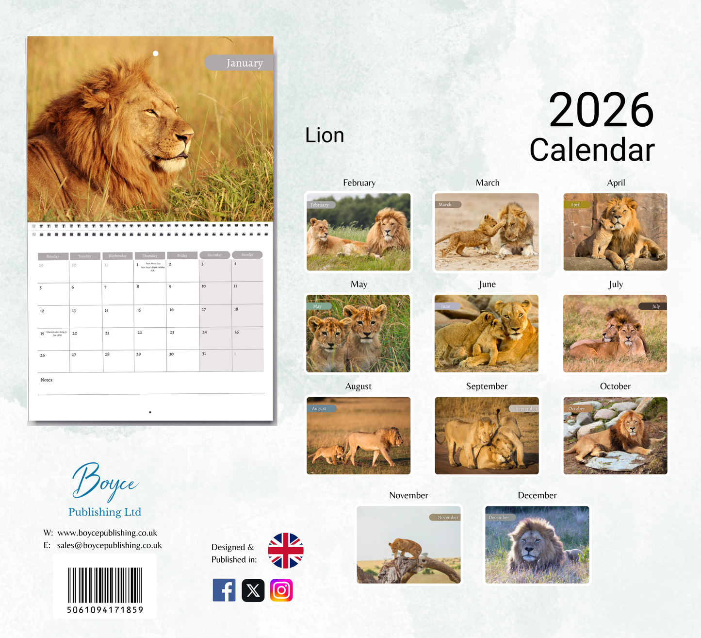 Lion Calendar 2026