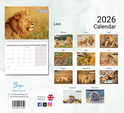 Lion Calendar 2026