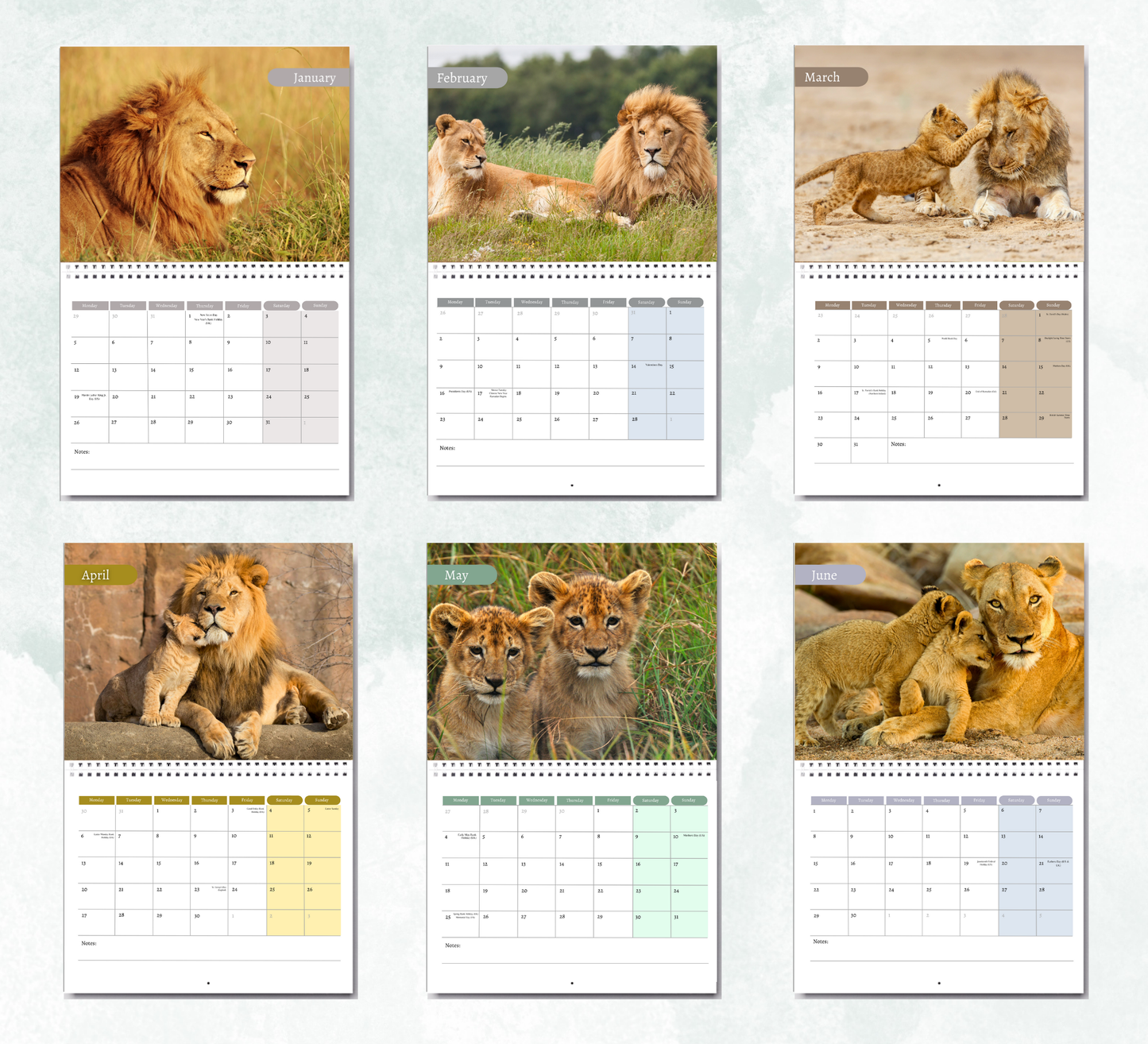 Lion Calendar 2026
