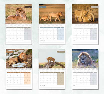 Lion Calendar 2026