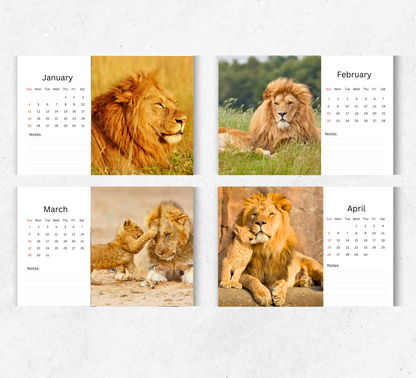 Lion Desk Calendar 2026-2027