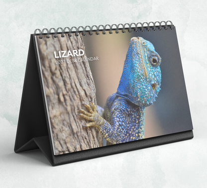 Lizard Desk Calendar 2027-2028