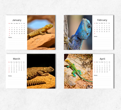 Lizard Desk Calendar 2027-2028