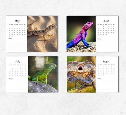 Lizard Desk Calendar 2027-2028