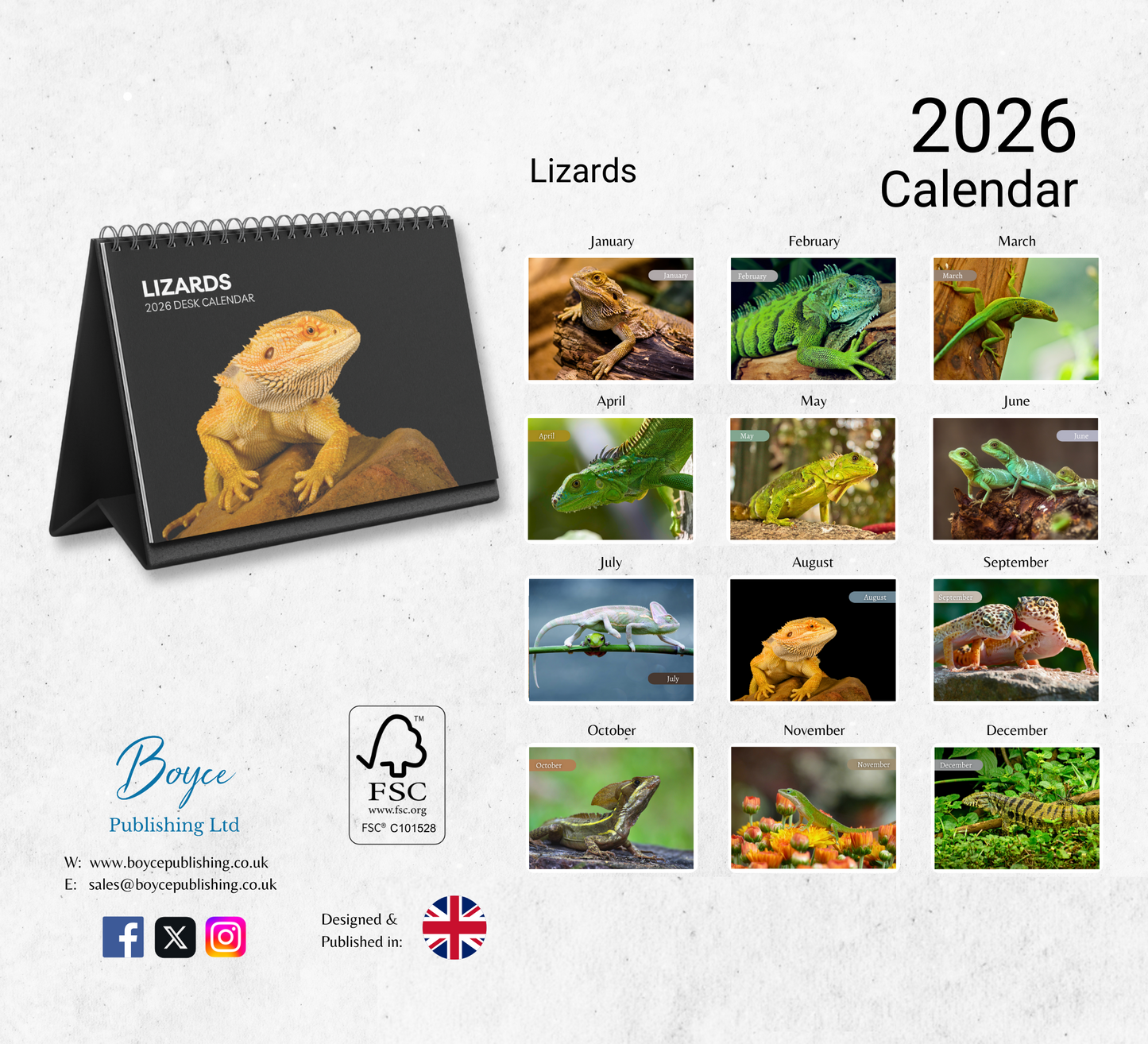 Lizard Desk Calendar 2026-2027