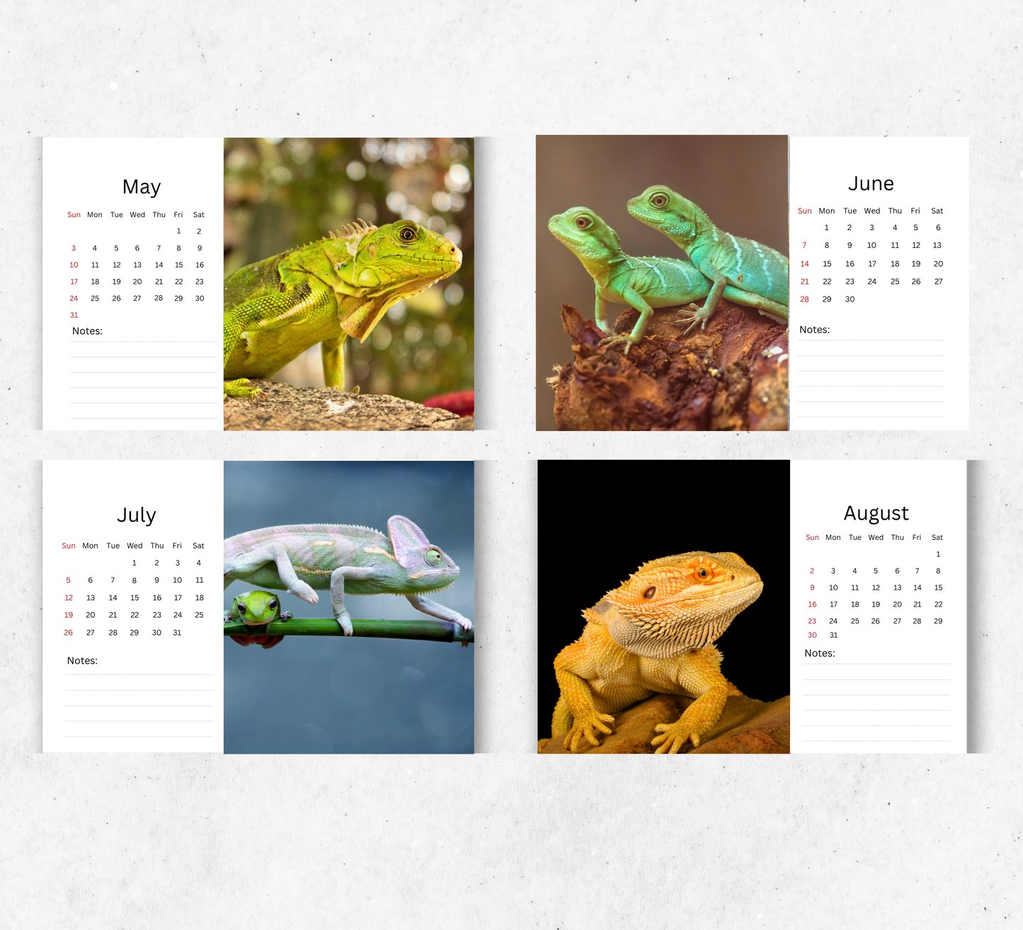 Lizard Desk Calendar 2026-2027