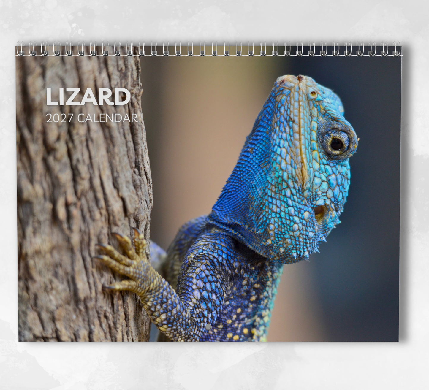 Lizard Calendar 2027