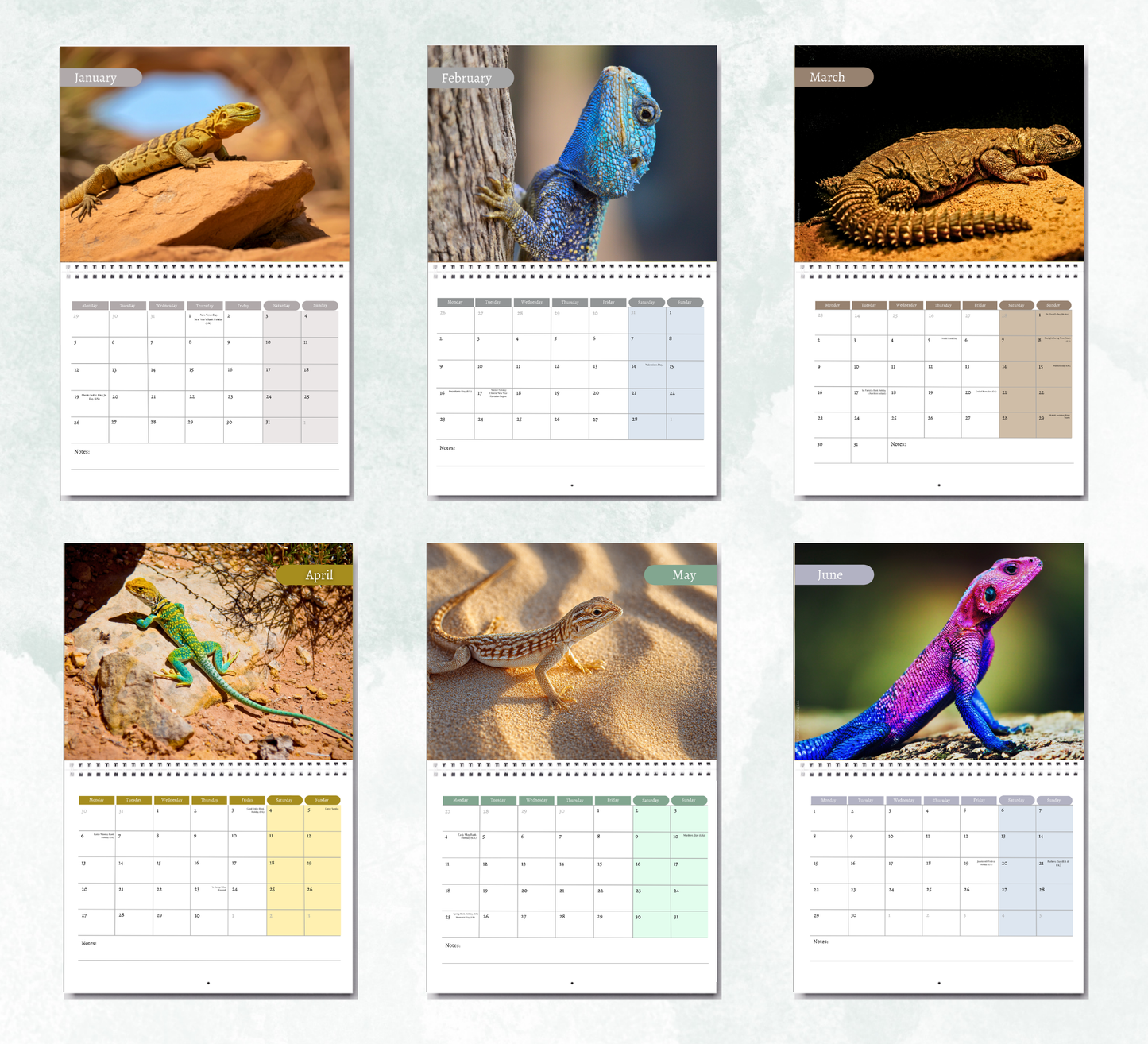Lizard Calendar 2027