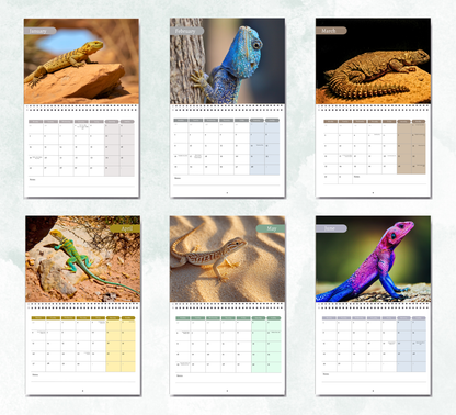 Lizard Calendar 2027