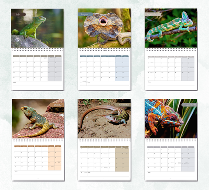 Lizard Calendar 2027