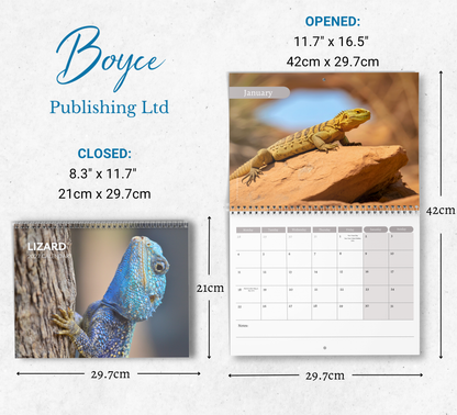 Lizard Calendar 2027