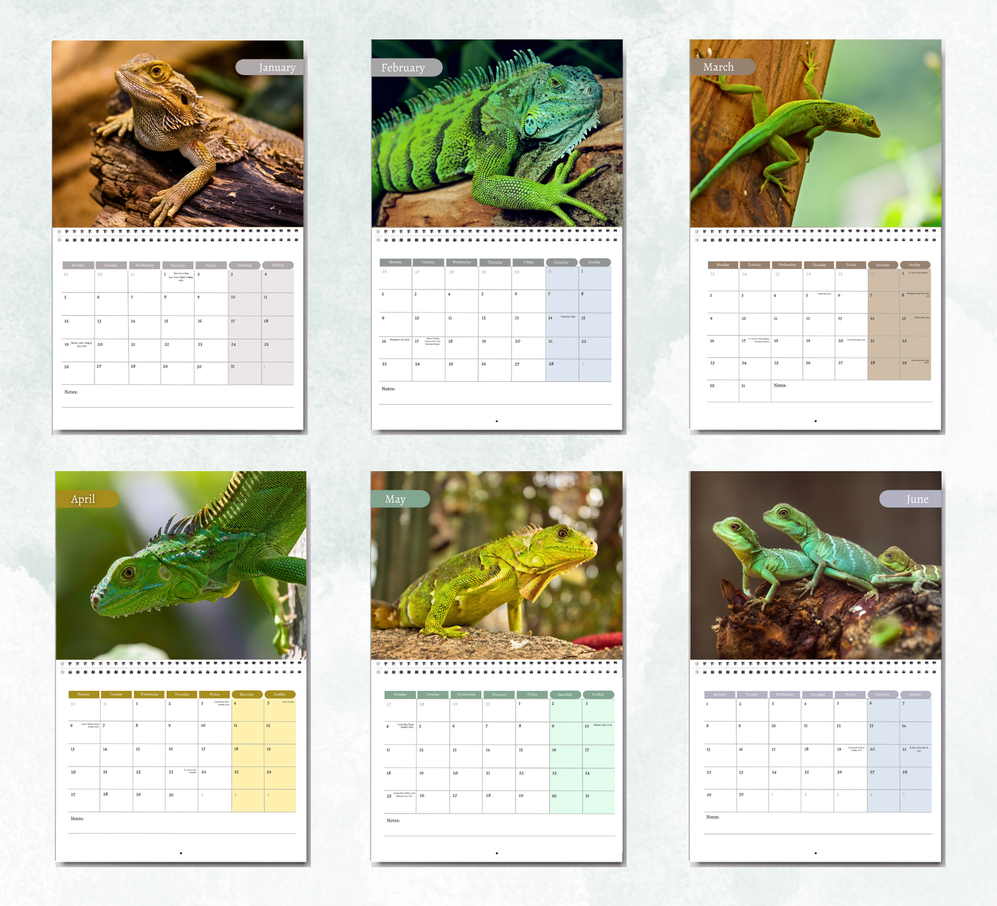 Lizard Calendar 2026