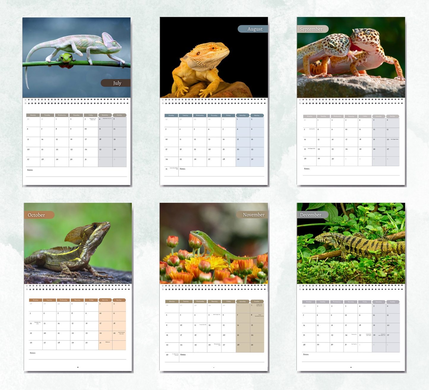 Lizard Calendar 2026