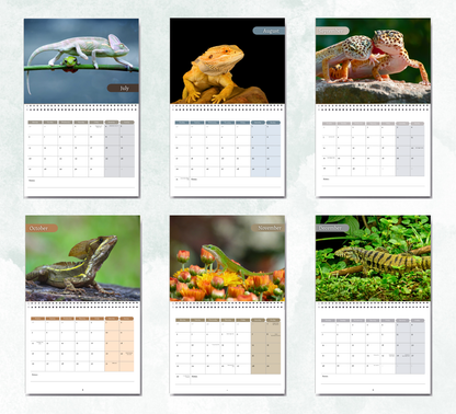Lizard Calendar 2026