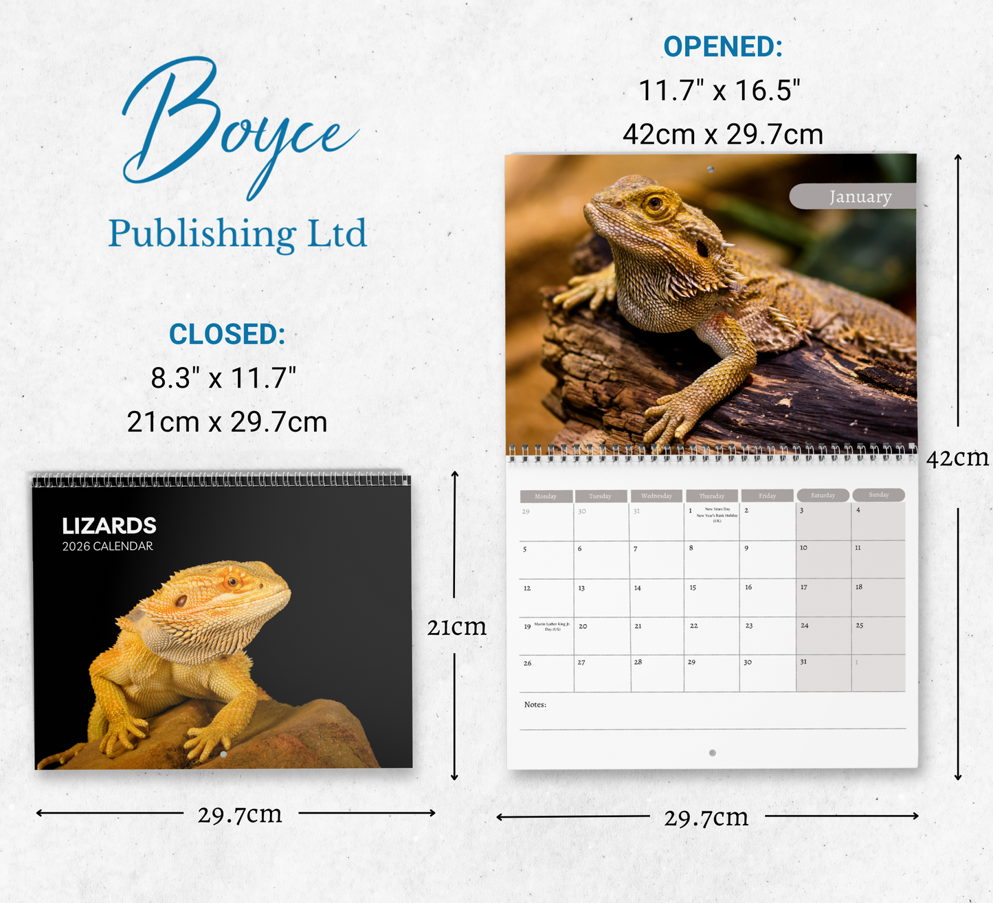 Lizard Calendar 2026