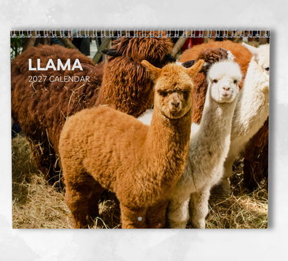 Llama Calendar 2027