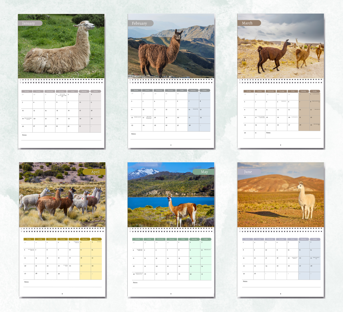 Llama Calendar 2027