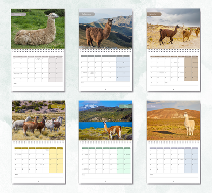 Llama Calendar 2027