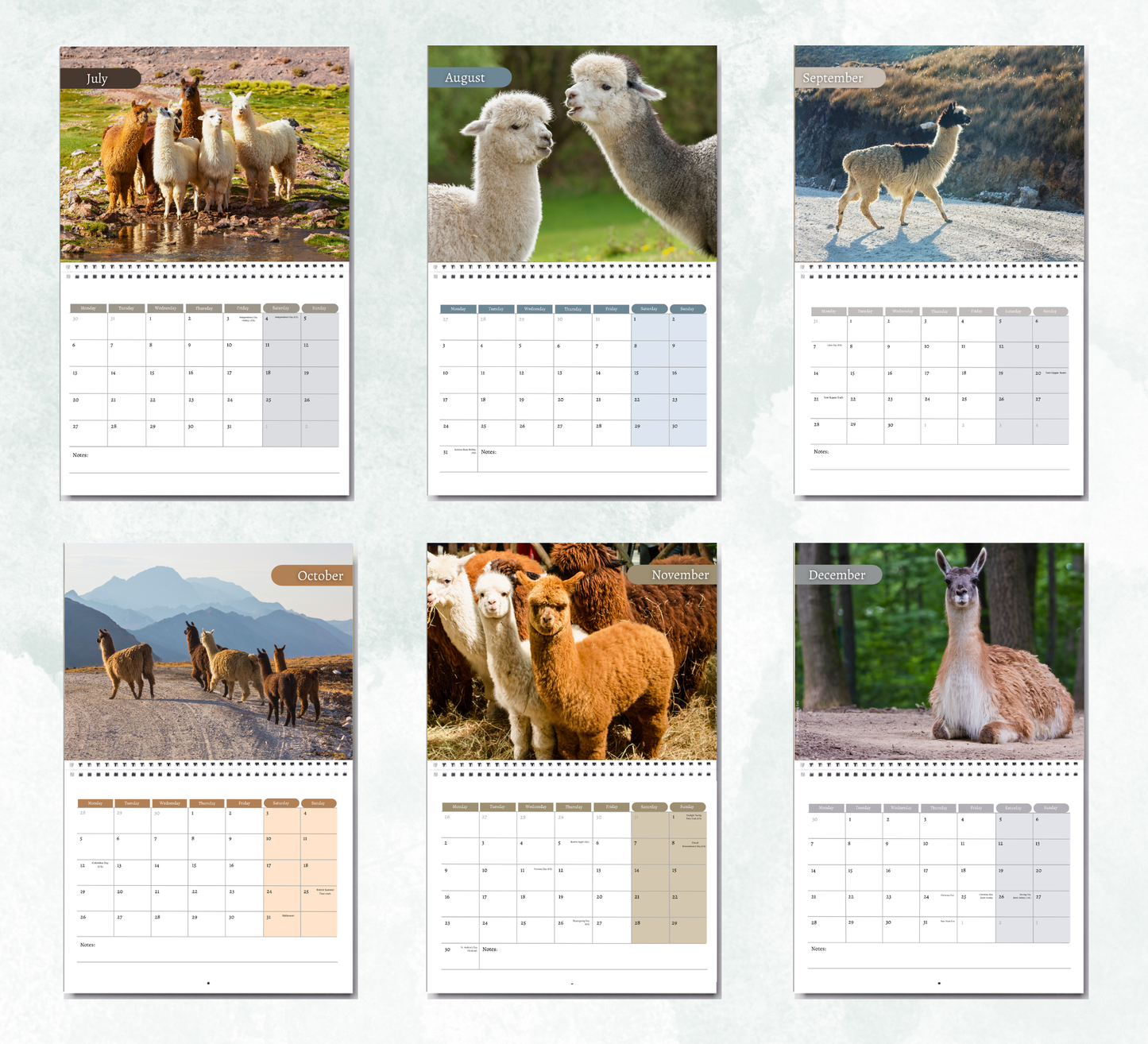 Llama Calendar 2027