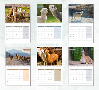 Llama Calendar 2027