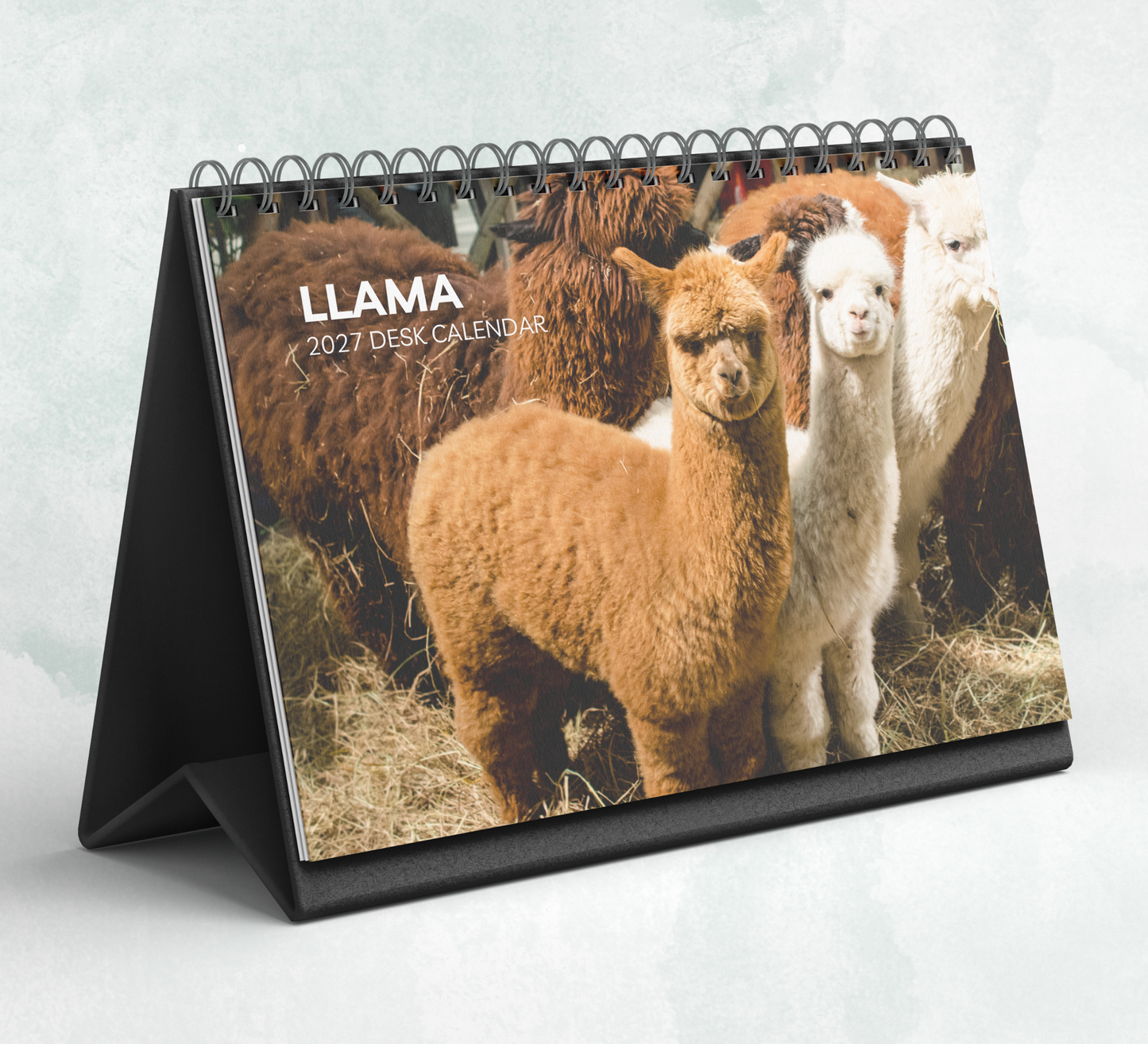 Llama Desk Calendar 2027-2028