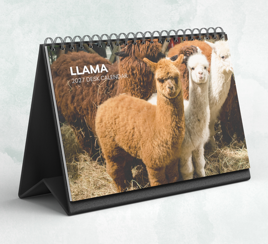 Llama Desk Calendar 2027-2028
