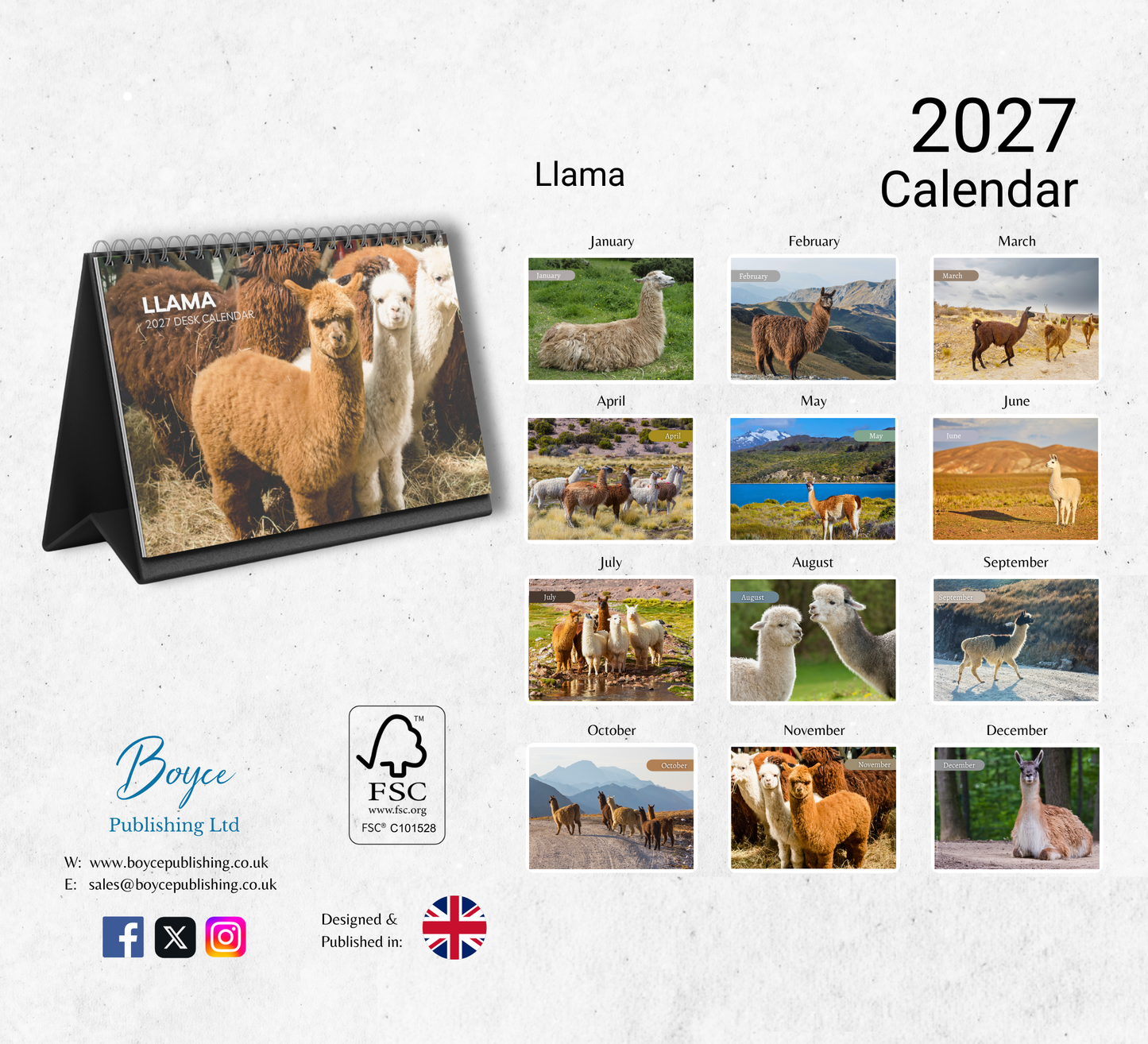 Llama Desk Calendar 2027-2028