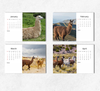 Llama Desk Calendar 2027-2028