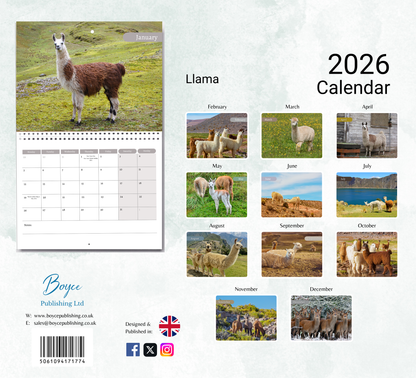 Llama Calendar 2026