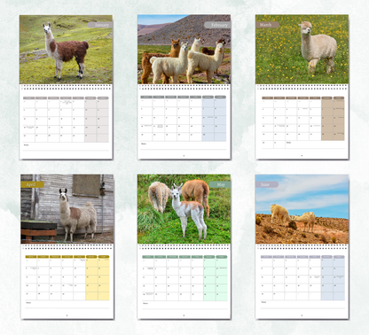 Llama Calendar 2026