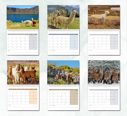 Llama Calendar 2026