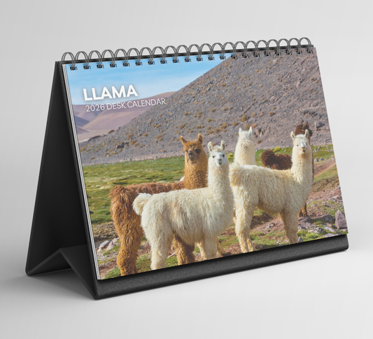 Llama Desk Calendar 2026-2027