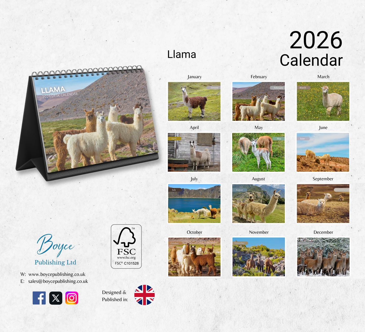 Llama Desk Calendar 2026-2027