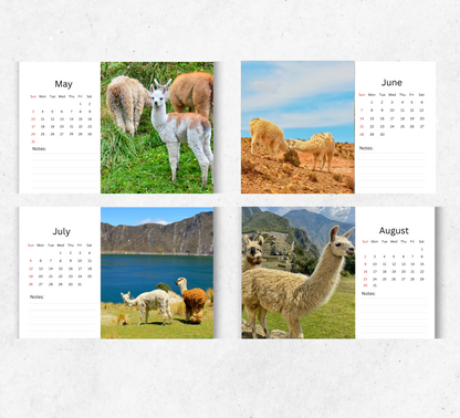 Llama Desk Calendar 2026-2027