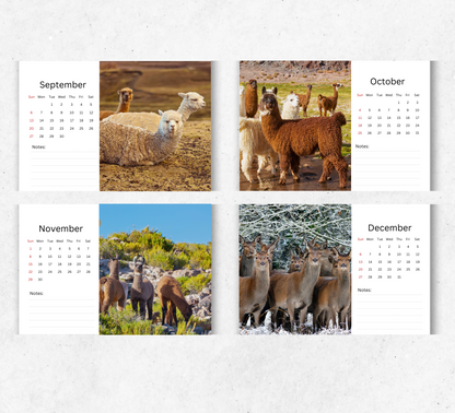 Llama Desk Calendar 2026-2027