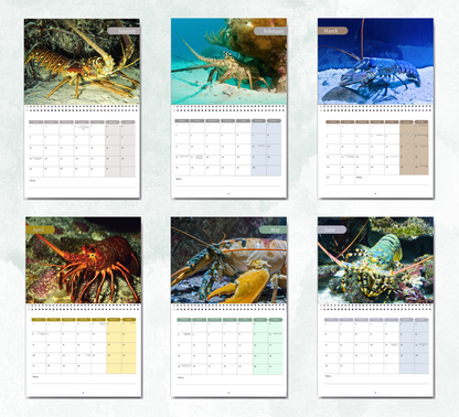 Lobster Calendar 2026