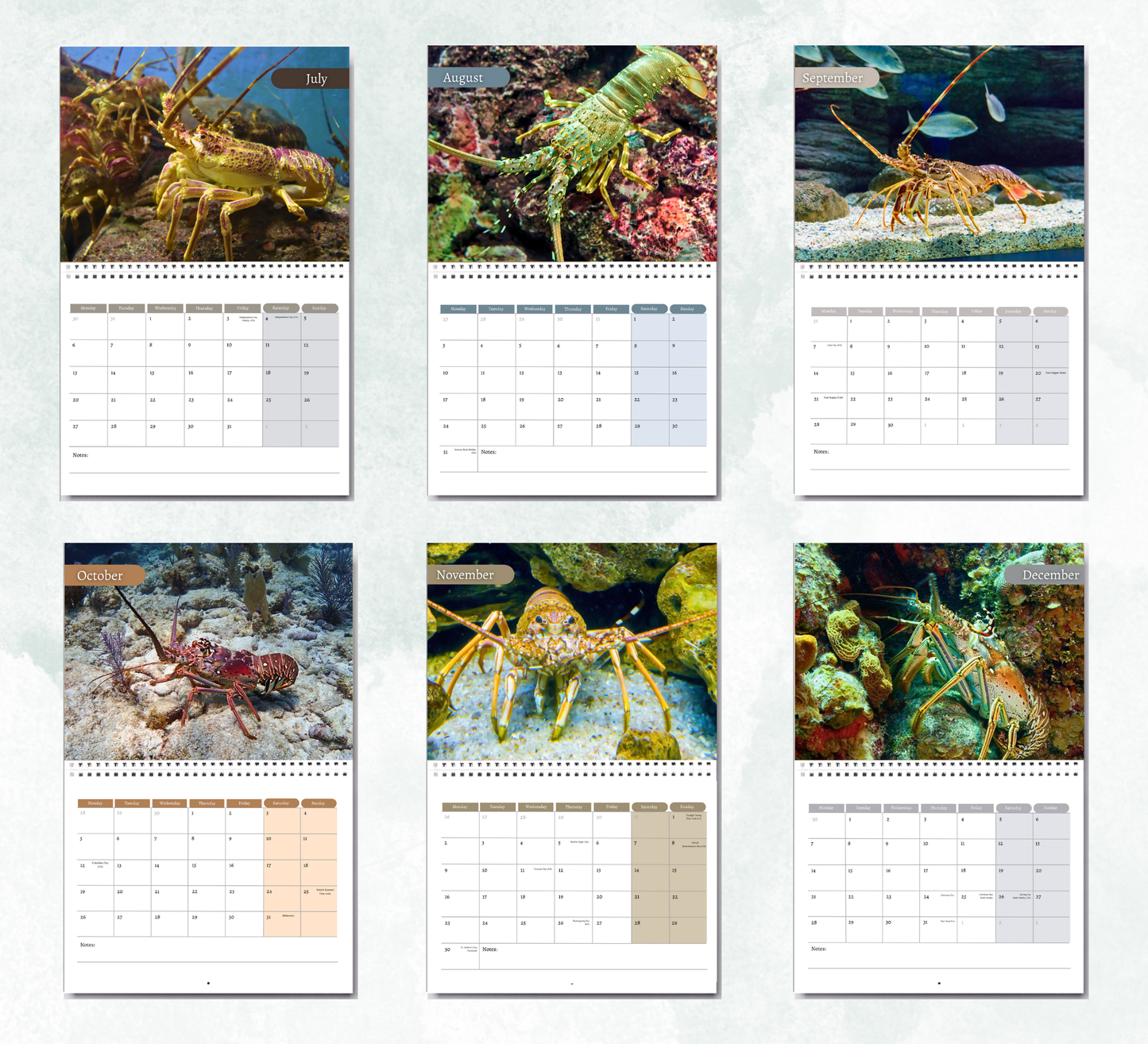 Lobster Calendar 2026