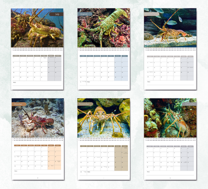 Lobster Calendar 2026