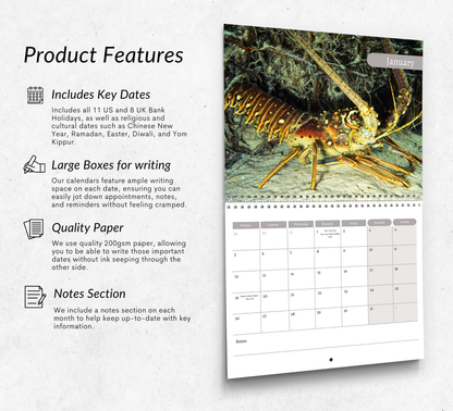 Lobster Calendar 2026