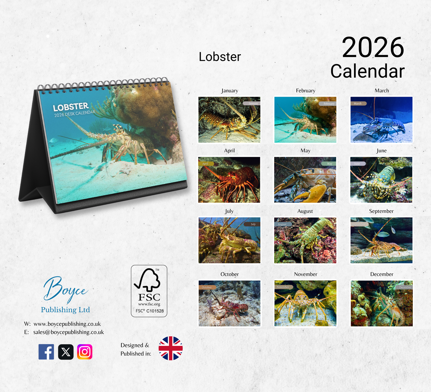 Lobster Desk Calendar 2026-2027