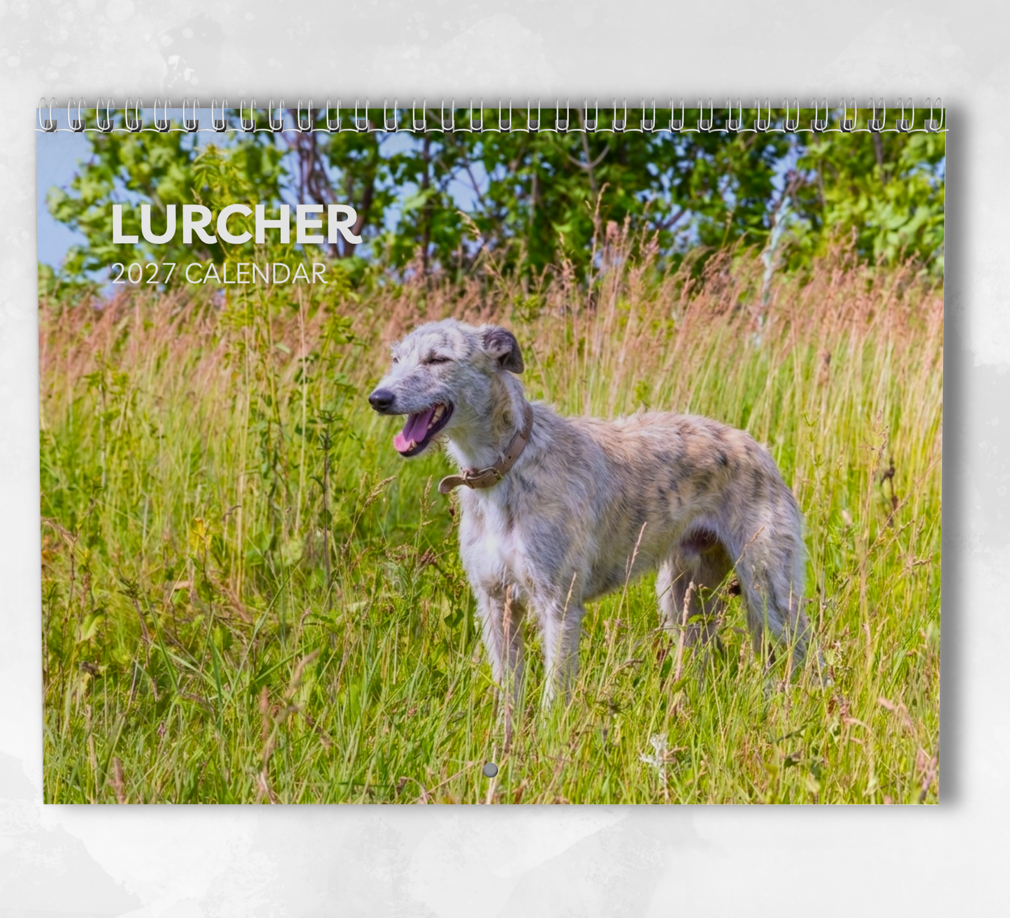 Lurcher Calendar 2027