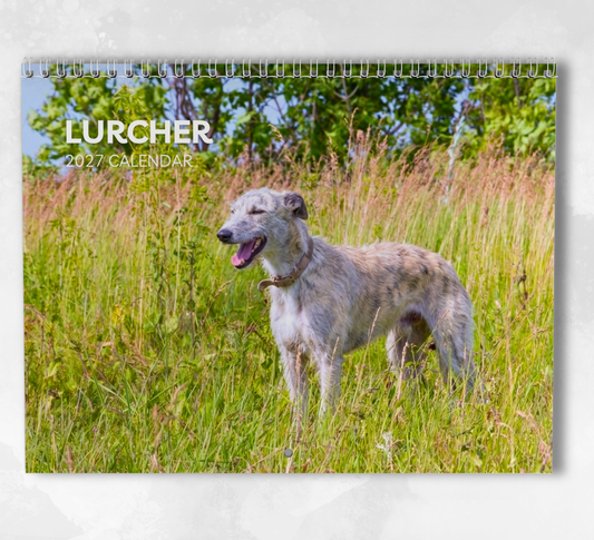Lurcher Calendar 2027