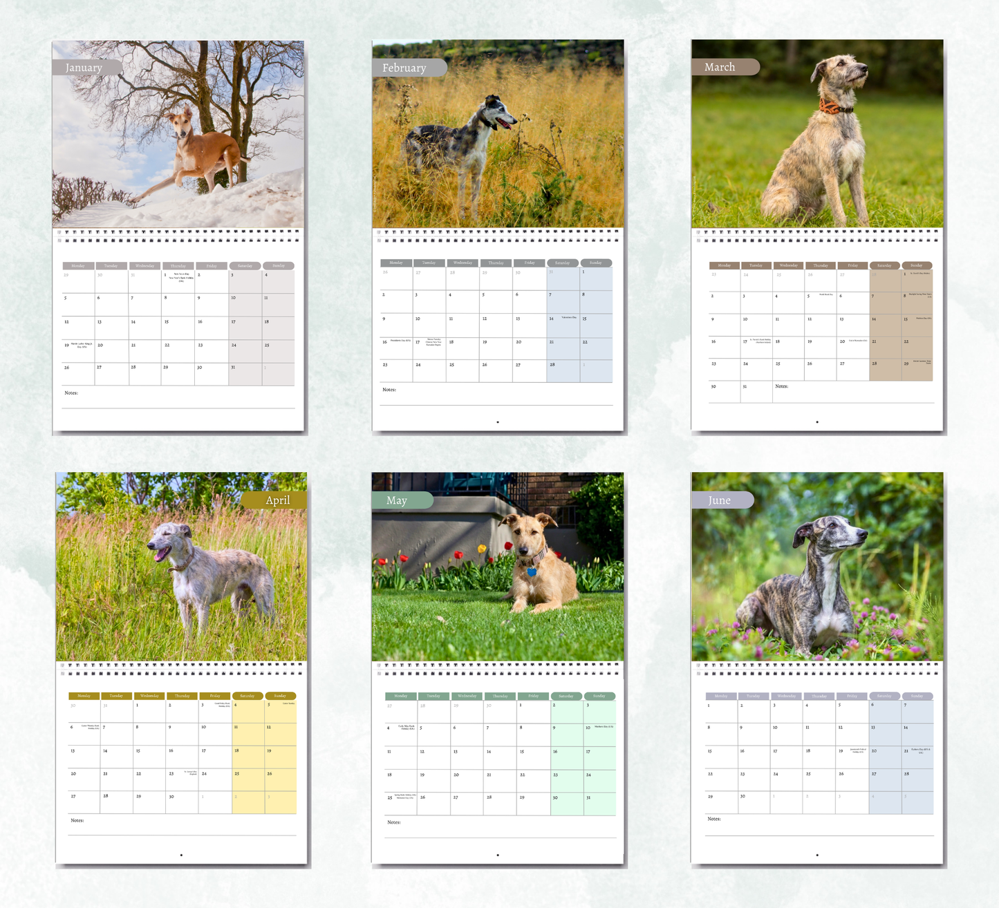 Lurcher Calendar 2027