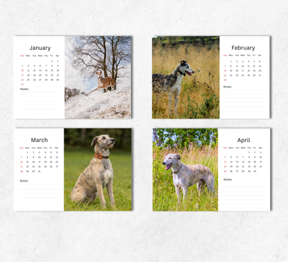 Lurcher Desk Calendar 2027-2028