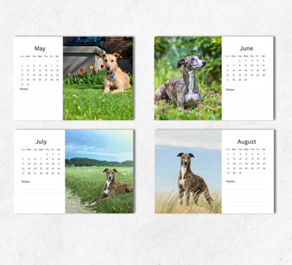 Lurcher Desk Calendar 2027-2028