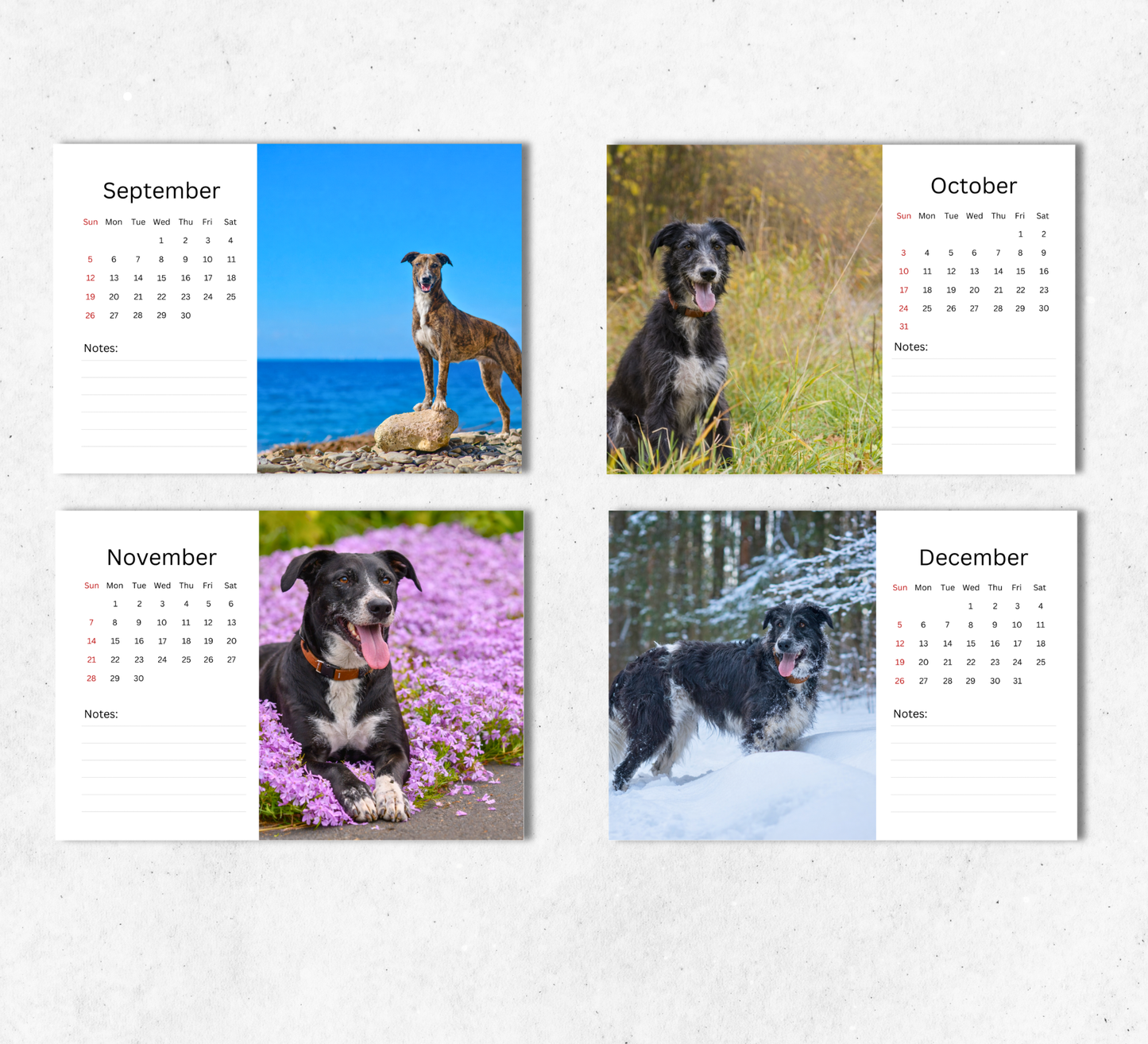 Lurcher Desk Calendar 2027-2028