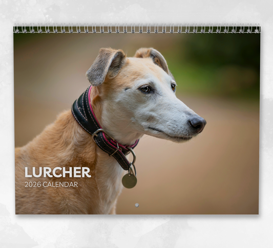 Lurcher Calendar 2026