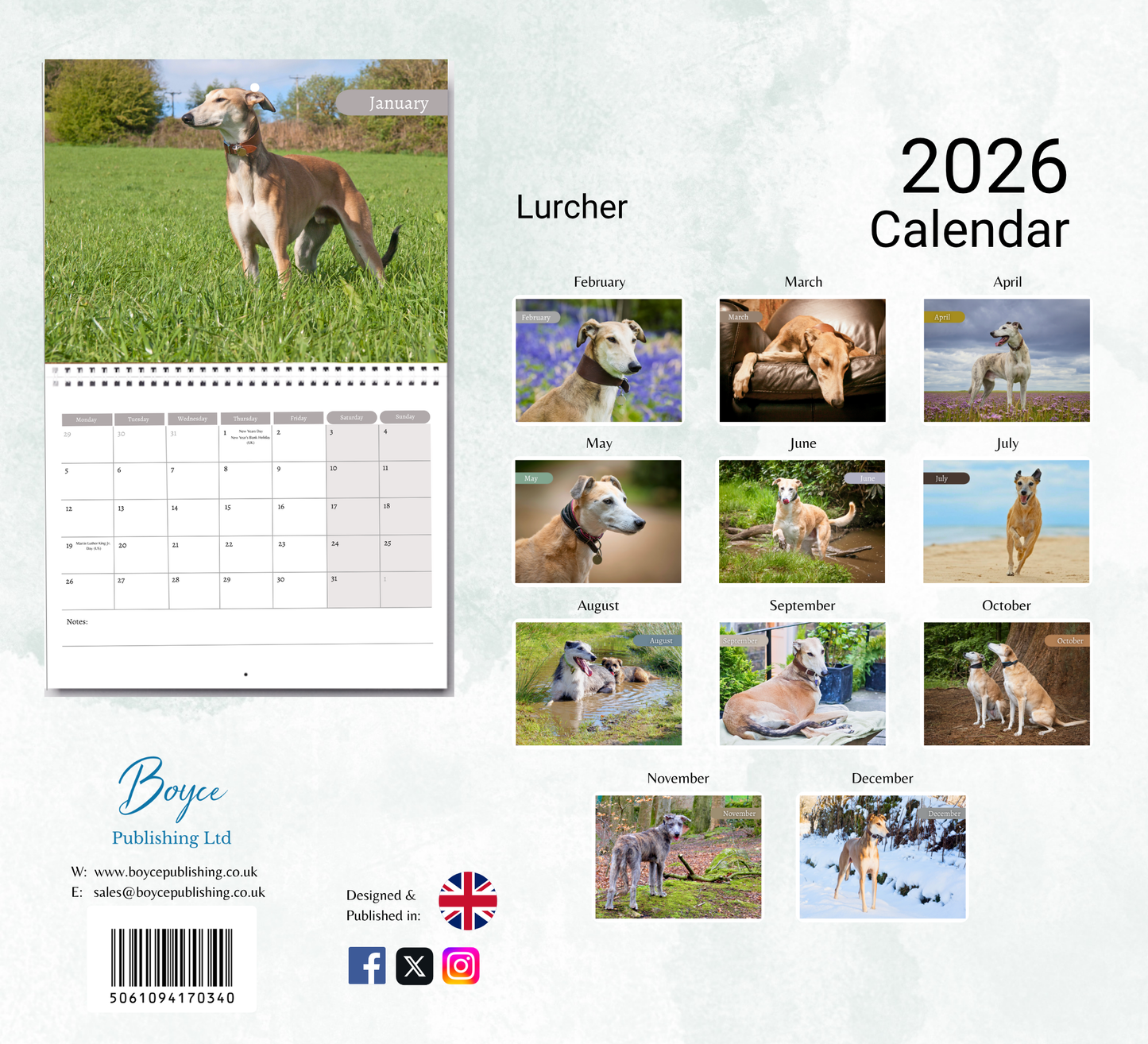 Lurcher Calendar 2026