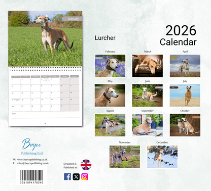 Lurcher Calendar 2026
